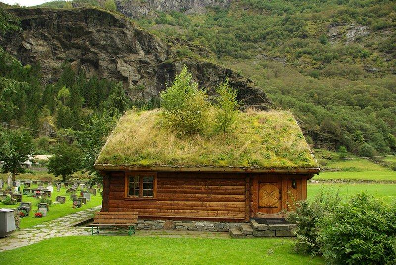 Удивительные травяные крыши в Норвегии